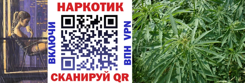 Купить закладку ГАШ  МЕТАДОН  Меф  Alpha-PVP  Боровичи