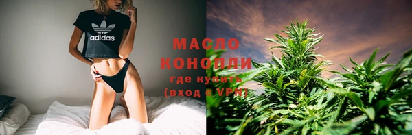 прущие грибы Краснослободск