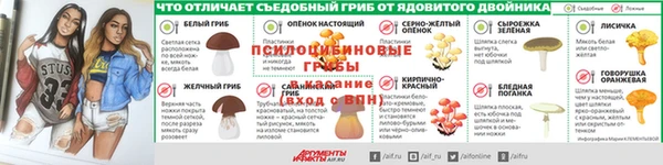 ПСИЛОЦИБИНОВЫЕ ГРИБЫ Краснотурьинск