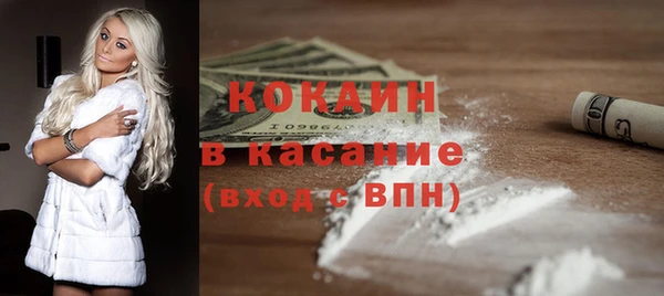 прущие грибы Краснослободск