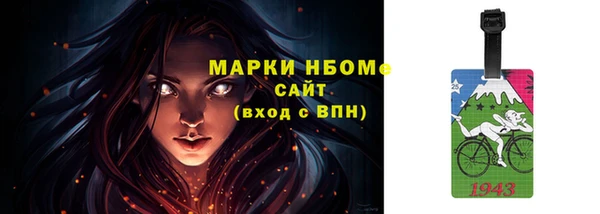 прущие грибы Краснослободск