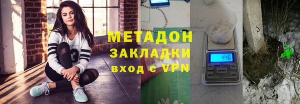 прущие грибы Краснослободск