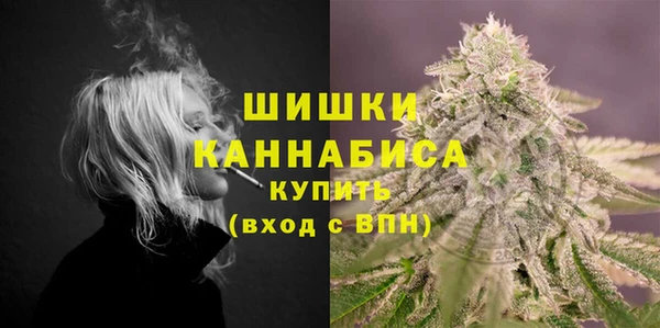 ПСИЛОЦИБИНОВЫЕ ГРИБЫ Краснотурьинск
