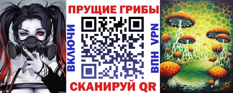 Псилоцибиновые грибы мухоморы  Купить  Боровичи 